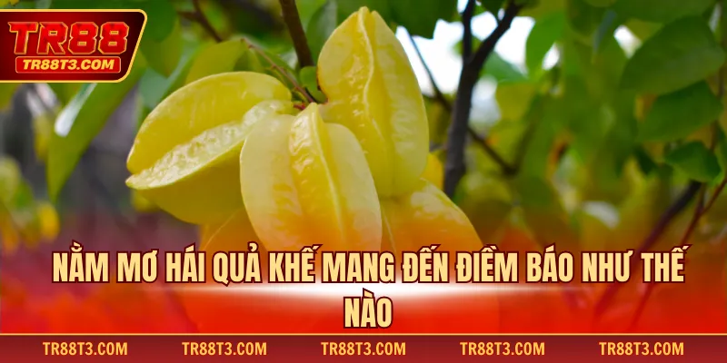 Nằm mơ hái quả khế mang đến điềm báo như thế nào