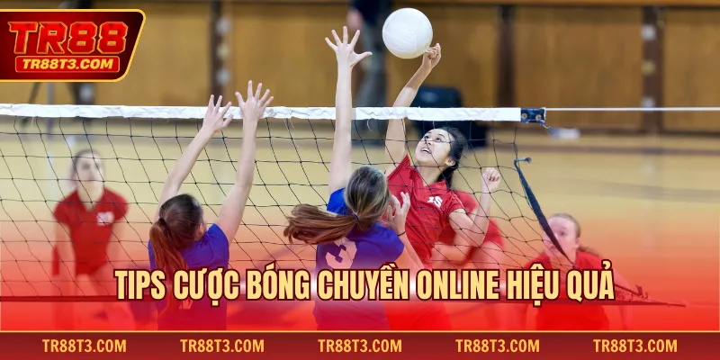 Tips cược bóng chuyền online hiệu quả